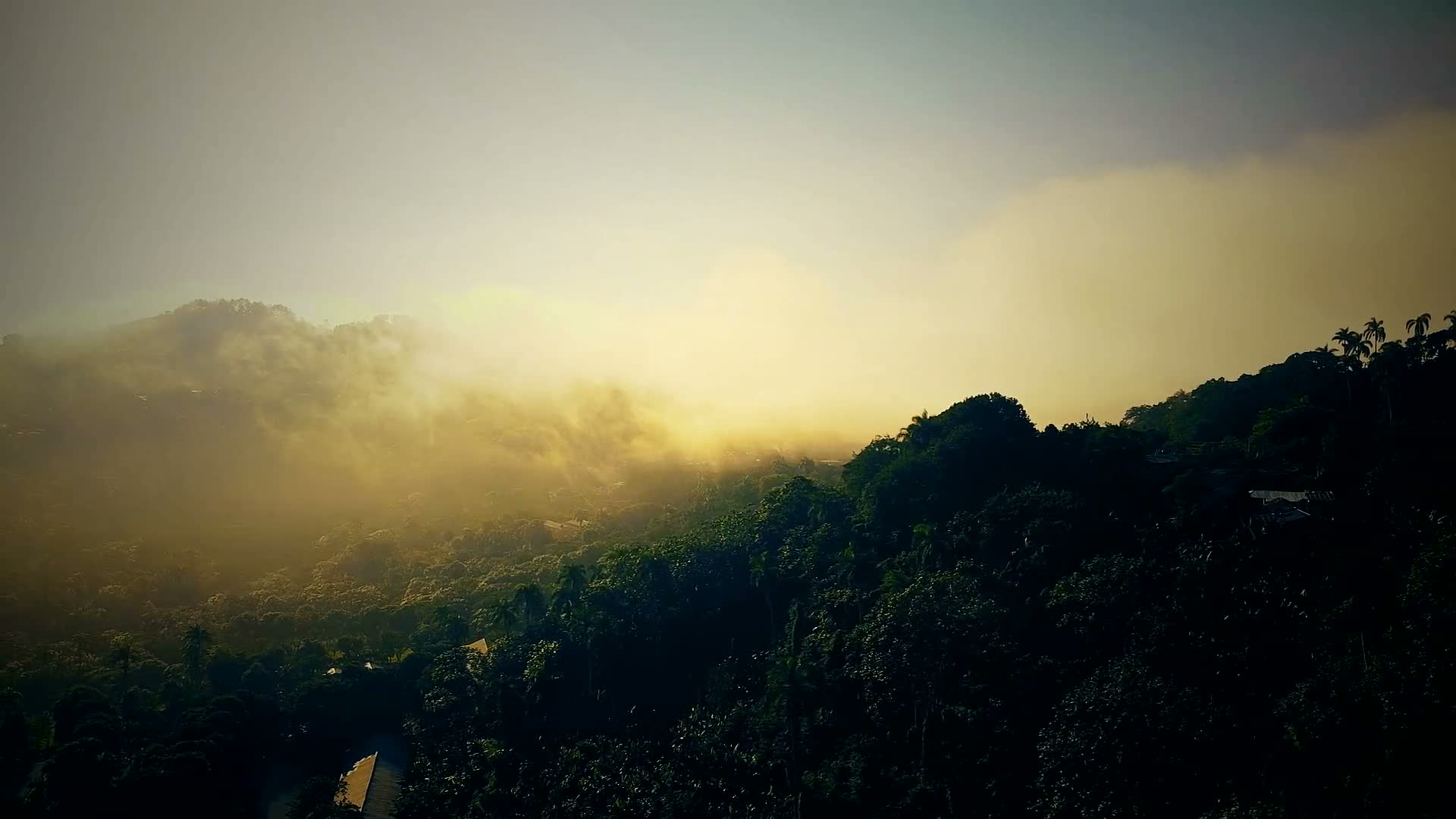 Montanhas com névoa ao amanhecer sobre a mata